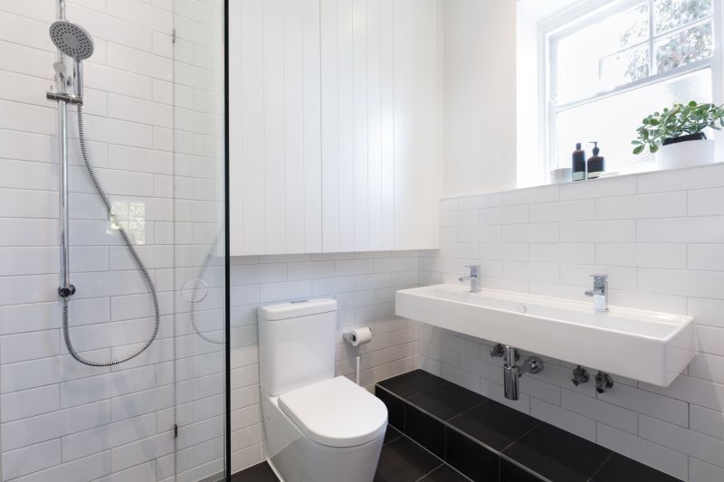 Wall-mounted Toilets and Sinks